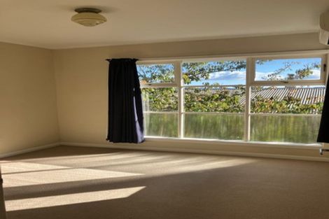 Photo of property in 40 Landscape Road, Mount Eden, Auckland, 1024