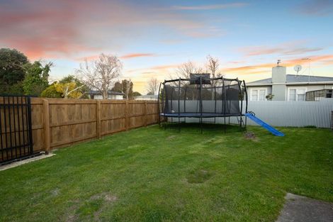 Photo of property in 17 Winchester Street, Awapuni, Palmerston North, 4412