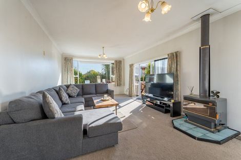Photo of property in 20 Wilkin Street, Temuka, 7920