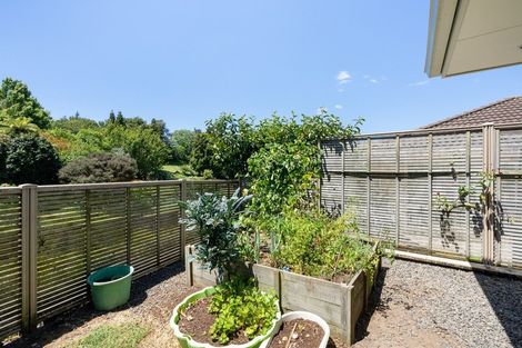 Photo of property in 3 Darraghs Lane, Brookfield, Tauranga, 3110