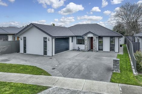 Photo of property in 31 Lochhead Street, Mahora, Hastings, 4120