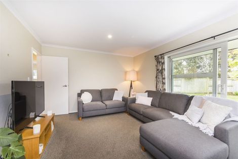 Photo of property in 137 Oxford Street, Ashhurst, 4810