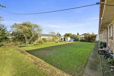 Photo of property in 29 Marchant Street, Putaruru, 3411