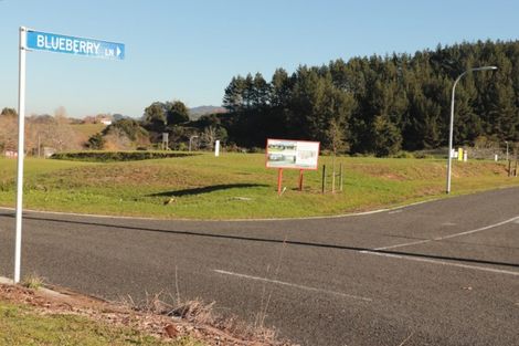 Photo of property in 1 Blueberry Lane, Waihi, 3682