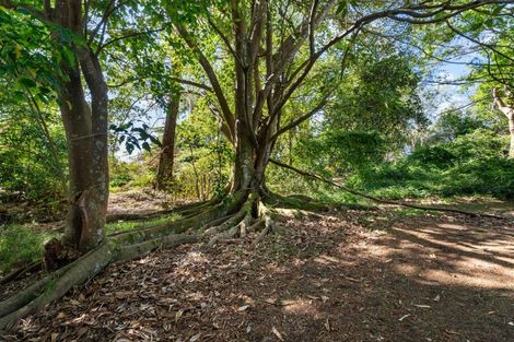 Photo of property in 218 Springfield Road, Springfield, Whangarei, 0178