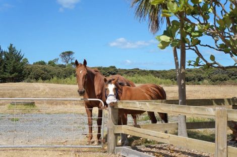 Photo of property in 93 Uretiti Road, Waipu, 0582