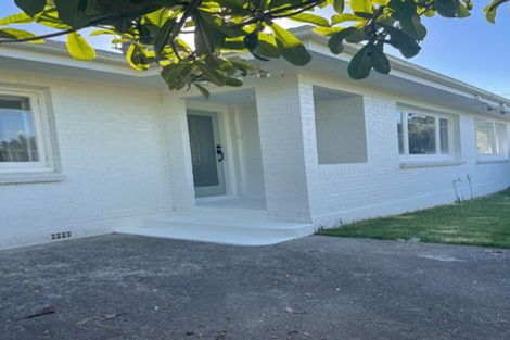 Photo of property in 21 Mitcham Avenue, Forest Lake, Hamilton, 3200