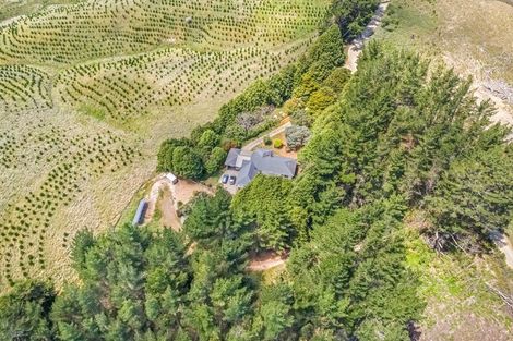 Photo of property in 565 Birch Road East, Herbertville, Dannevirke, 4970