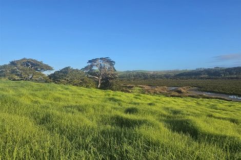 Photo of property in 47 Matahehe Lane, Tinopai, 0593