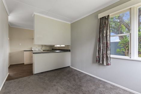 Photo of property in 20 Mckenzie Street, Levin, 5510