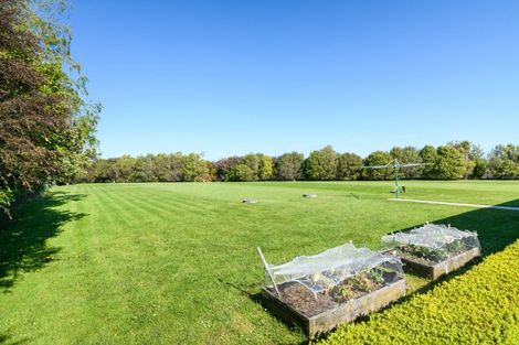 Photo of property in 5 Mallard Avenue, Feilding, 4775