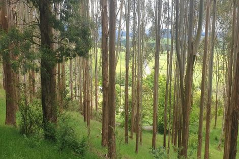 Photo of property in 1579 Tairua Whitianga Road, Whenuakite, Whitianga, 3591