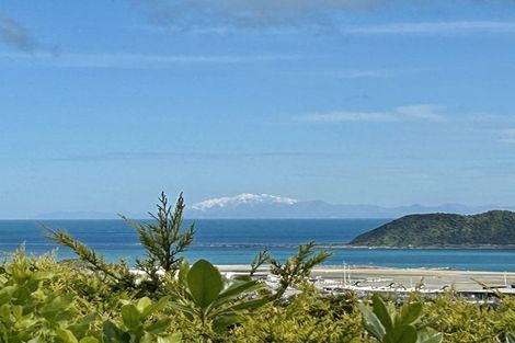 Photo of property in 29 Seatoun Heights Road, Miramar, Wellington, 6022