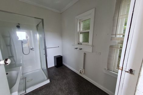 Photo of property in 51 Farnham Street, Mornington, Wellington, 6021