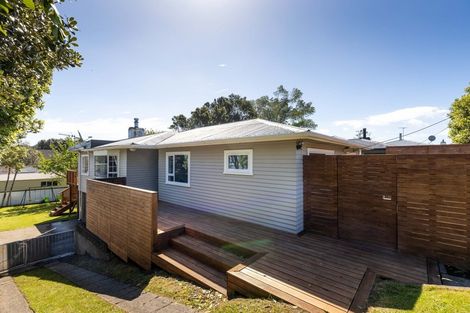 Photo of property in 43 Essex Street, Vogeltown, New Plymouth, 4310