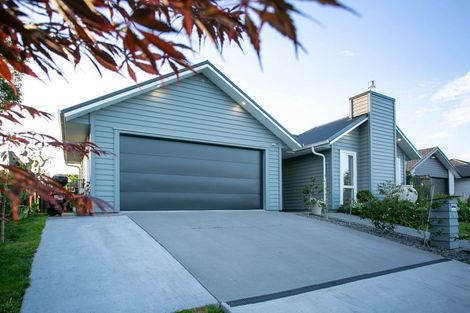 Photo of property in 8 Richards Street, Cambridge, 3434