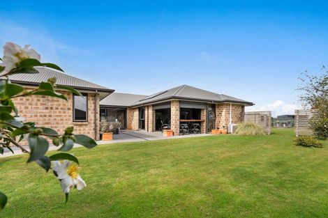 Photo of property in 19 Ridgeview Drive, Te Aroha, 3392