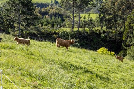 Photo of property in 1/394 Orakei Korako Road, Ohakuri, Reporoa, 3083