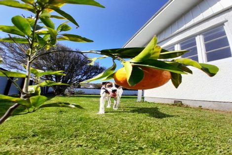 Photo of property in 49 Apatu Street, Wairoa, 4108