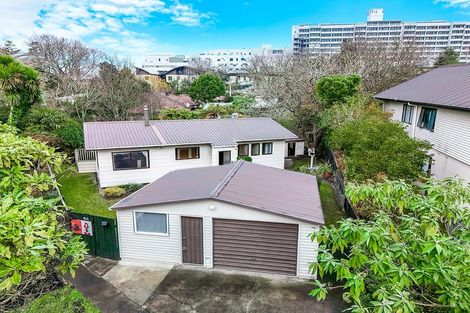Photo of property in 13 Horne Street, Hamilton Central, Hamilton, 3204