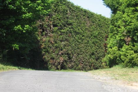 Photo of property in 48a Plummers Point Road, Whakamarama, Tauranga, 3172