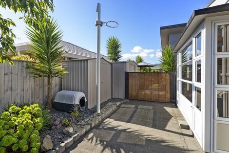 Photo of property in 91 Cedar Drive, Paraparaumu Beach, Paraparaumu, 5032