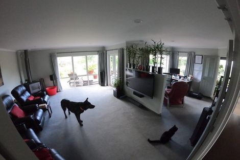Photo of property in 43 Jasmine Place, Mount Maunganui, 3116