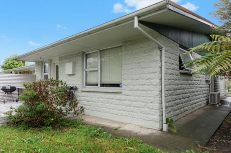 Photo of property in 93 Scott Street, Blenheim, 7201