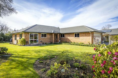 Photo of property in 36 Tancred Street, Geraldine, 7930