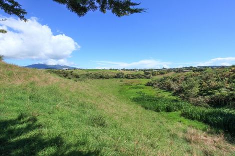 Photo of property in 91a Greenslade Road, Raglan, 3295