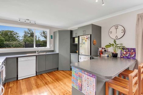 Photo of property in 41a Avenue Road, Foxton, 4814