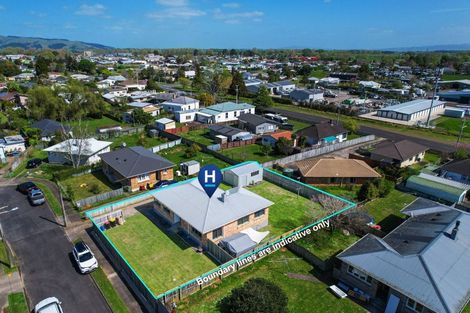 Photo of property in 9 Davies Street, Paeroa, 3600