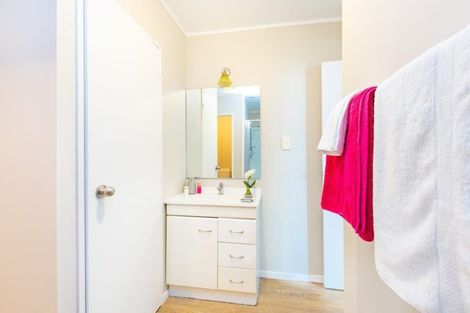 Photo of property in 19a Hood Street, Hamilton Central, Hamilton, 3204