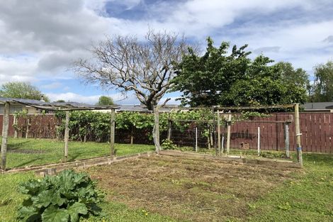 Photo of property in 55 Meadowvale Drive, Levin, 5510