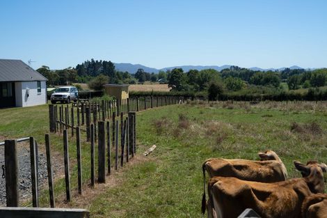 Photo of property in 10 Woolrich Road, Te Kowhai, Hamilton, 3288