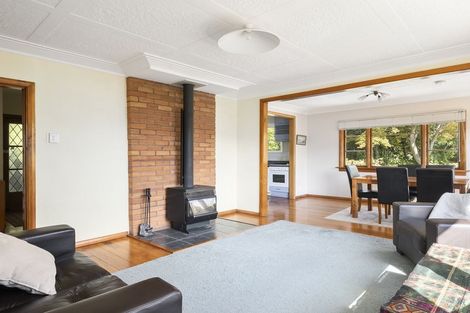 Photo of property in 119 Signal Hill Road, Opoho, Dunedin, 9010