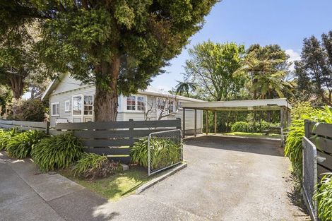 Photo of property in 133 Kings Crescent, Hutt Central, Lower Hutt, 5010
