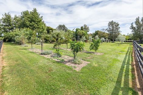 Photo of property in 51 Laward Road, Shannon, Palmerston North, 4474