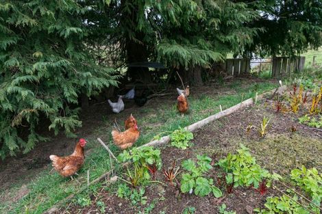 Photo of property in 3 Adolphus Street, Norsewood, 4974