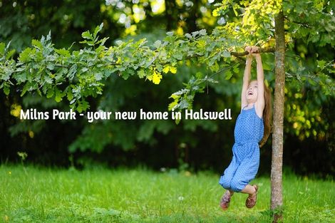 Photo of property in 240 King Street, Temuka, 7920