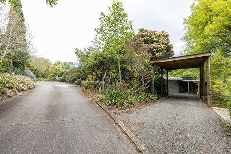 Photo of property in 36 Whakapirau Road, Maraekakaho, Hastings, 4174