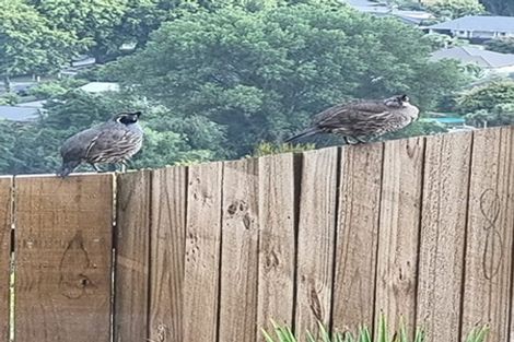 Photo of property in 121 Bowenvale Avenue, Cashmere, Christchurch, 8022