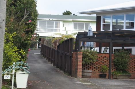 Photo of property in 20 Collie Street, Hillpark, Auckland, 2102
