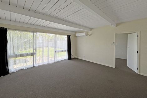 Photo of property in 1-6/31 Albert Street, Palmerston North, 4414