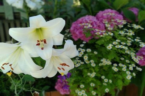 Photo of property in 2/179 Princes Drive, Britannia Heights, Nelson, 7010