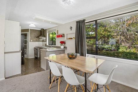 Photo of property in 17 Colquhoun Street, Glenross, Dunedin, 9011