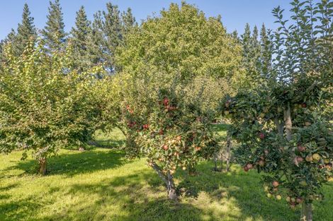 Photo of property in 238 Beach Road East, Elgin, Ashburton, 7777