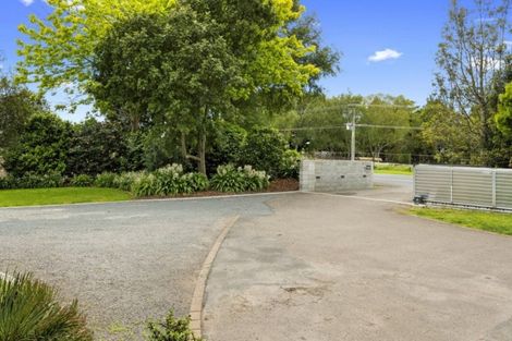 Photo of property in 534 Te Puke Highway, Te Puke, 3187