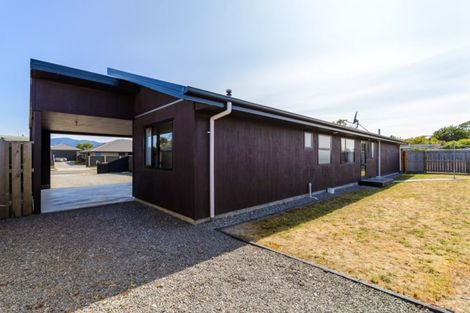 Photo of property in 1 Mcisaac Place, Renwick, 7204