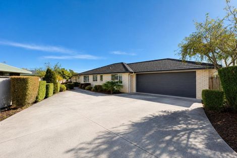 Photo of property in 185a Peachgrove Road, Claudelands, Hamilton, 3214